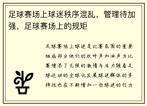 足球赛场上球迷秩序混乱,管理待加强,足球赛场上的规矩