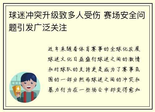 球迷冲突升级致多人受伤 赛场安全问题引发广泛关注