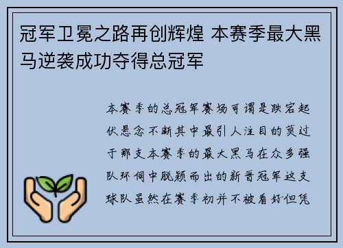 冠军卫冕之路再创辉煌 本赛季最大黑马逆袭成功夺得总冠军